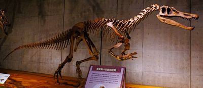 Baryonyx