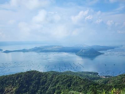Taal