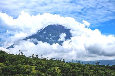 Agung