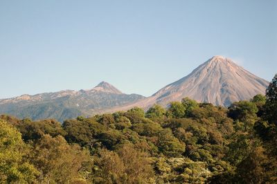 Colima
